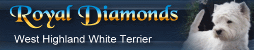 Royal Diamonds Westies