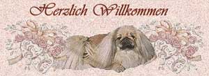Pekingesen of Empress Tzu - Shi