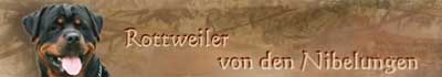 Rottweiler von den Nibelungen