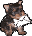 Mail an uns