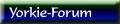 Yorkie-Forum