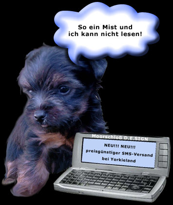 Einfach klicken und los geht's :-)